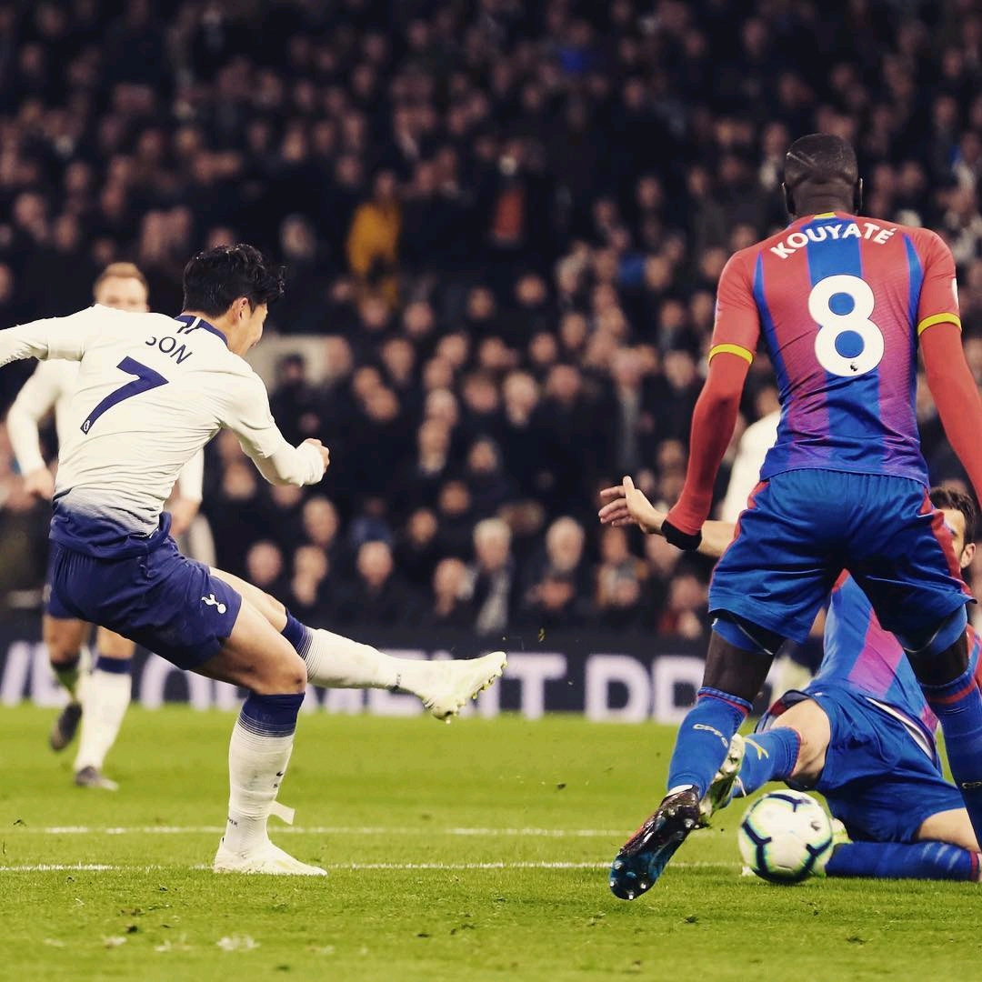 视野和球场 视野和球场